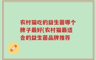农村猫吃的益生菌哪个牌子最好(农村猫最适合的益生菌品牌推荐