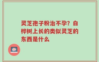 灵芝孢子粉治不孕？白桦树上长的类似灵芝的东西是什么