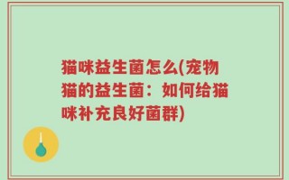 猫咪益生菌怎么(宠物猫的益生菌：如何给猫咪补充良好菌群)