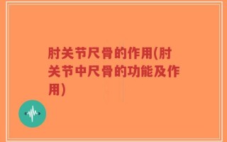 肘关节尺骨的作用(肘关节中尺骨的功能及作用)