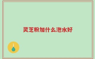 灵芝粉加什么泡水好