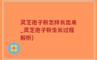 灵芝孢子粉怎样长出来_灵芝孢子粉生长过程解析)
