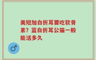 美短加白折耳要吃软骨素？蓝白折耳公猫一般能活多久