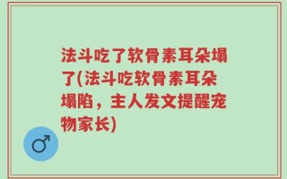 法斗吃了软骨素耳朵塌了(法斗吃软骨素耳朵塌陷，主人发文提醒宠物家长)