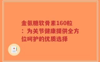 金氨糖软骨素160粒：为关节健康提供全方位呵护的优质选择