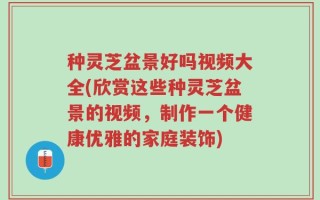 种灵芝盆景好吗视频大全(欣赏这些种灵芝盆景的视频，制作一个健康优雅的家庭装饰)