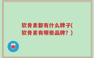 软骨素都有什么牌子(软骨素有哪些品牌？)