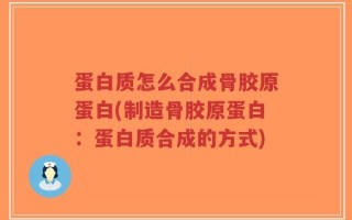 蛋白质怎么合成骨胶原蛋白(制造骨胶原蛋白：蛋白质合成的方式)