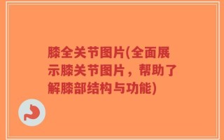 膝全关节图片(全面展示膝关节图片，帮助了解膝部结构与功能)