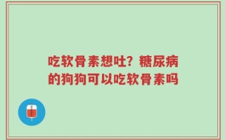 吃软骨素想吐？糖尿病的狗狗可以吃软骨素吗
