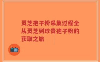 灵芝孢子粉采集过程全从灵芝到珍贵孢子粉的获取之旅