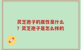 灵芝孢子的属性是什么？灵芝孢子是怎么样的