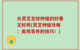 大灵芝怎样种植的好看又好养(灵芝种植攻略：美观易养的技巧！)
