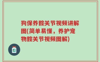 狗保养髋关节视频讲解图(简单易懂，养护宠物髋关节视频图解)