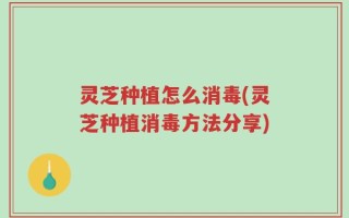 灵芝种植怎么消毒(灵芝种植消毒方法分享)