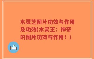 木灵芝图片功效与作用及功效(木灵芝：神奇的图片功效与作用！)