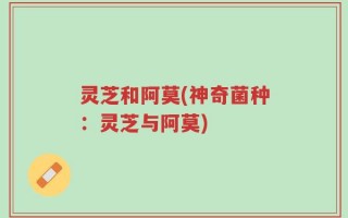 灵芝和阿莫(神奇菌种：灵芝与阿莫)