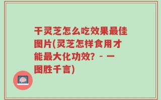 干灵芝怎么吃效果最佳图片(灵芝怎样食用才能最大化功效？- 一图胜千言)