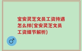 宝安灵芝文员工资待遇怎么样(宝安灵芝文员工资细节解析)