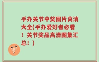 手办关节中奖图片高清大全(手办爱好者必看！关节奖品高清图集汇总！)