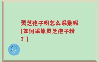 灵芝孢子粉怎么采集呢(如何采集灵芝孢子粉？)