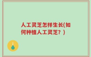 人工灵芝怎样生长(如何种植人工灵芝？)