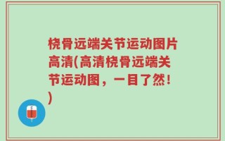 桡骨远端关节运动图片高清(高清桡骨远端关节运动图，一目了然！)