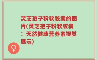 灵芝孢子粉软胶囊的图片(灵芝孢子粉软胶囊：天然健康营养素视觉展示)