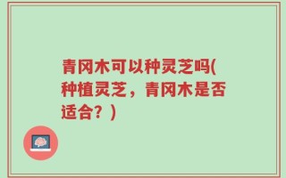 青冈木可以种灵芝吗(种植灵芝，青冈木是否适合？)