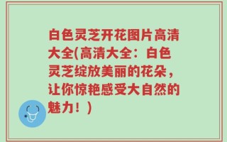 白色灵芝开花图片高清大全(高清大全：白色灵芝绽放美丽的花朵，让你惊艳感受大自然的魅力！)