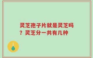 灵芝孢子片就是灵芝吗？灵芝分一共有几种