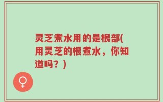 灵芝煮水用的是根部(用灵芝的根煮水，你知道吗？)