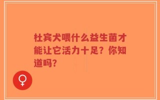 杜宾犬喂什么益生菌才能让它活力十足？你知道吗？