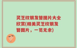灵芝纹银发簪图片大全欣赏(精美灵芝纹银发簪图片，一览无余)