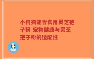 小狗狗能否食用灵芝孢子粉 宠物健康与灵芝孢子粉的适配性