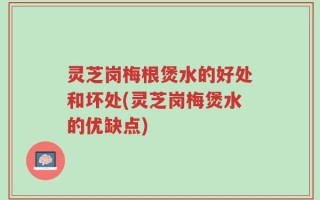 灵芝岗梅根煲水的好处和坏处(灵芝岗梅煲水的优缺点)