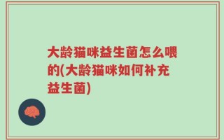 大龄猫咪益生菌怎么喂的(大龄猫咪如何补充益生菌)