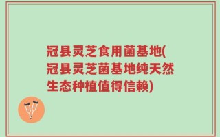 冠县灵芝食用菌基地(冠县灵芝菌基地纯天然生态种植值得信赖)