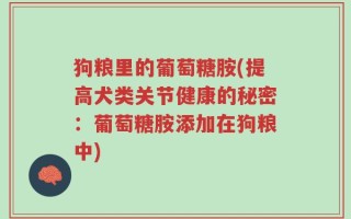 狗粮里的葡萄糖胺(提高犬类关节健康的秘密：葡萄糖胺添加在狗粮中)