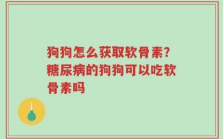 狗狗怎么获取软骨素？糖尿病的狗狗可以吃软骨素吗