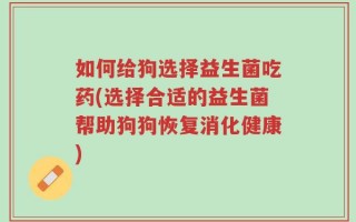 如何给狗选择益生菌吃药(选择合适的益生菌帮助狗狗恢复消化健康)