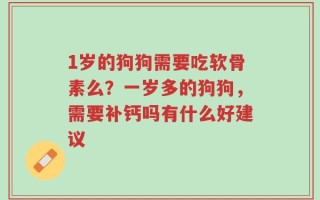 1岁的狗狗需要吃软骨素么？一岁多的狗狗，需要补钙吗有什么好建议