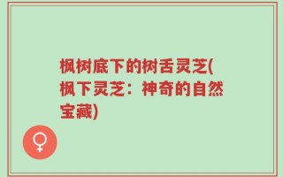 枫树底下的树舌灵芝(枫下灵芝：神奇的自然宝藏)