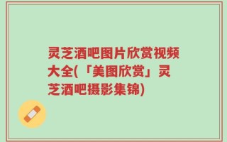 灵芝酒吧图片欣赏视频大全(「美图欣赏」灵芝酒吧摄影集锦)