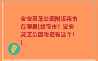 宝安灵芝公园附近夜市在哪里(找夜市？宝安灵芝公园附近有这个！)