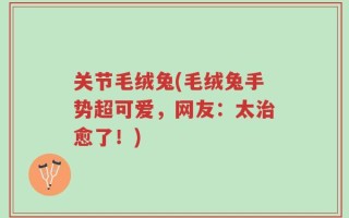 关节毛绒兔(毛绒兔手势超可爱，网友：太治愈了！)
