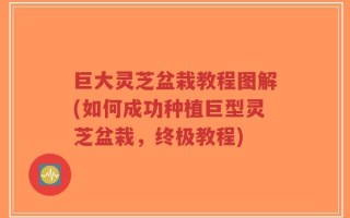 巨大灵芝盆栽教程图解(如何成功种植巨型灵芝盆栽，终极教程)