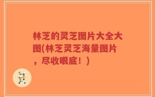 林芝的灵芝图片大全大图(林芝灵芝海量图片，尽收眼底！)
