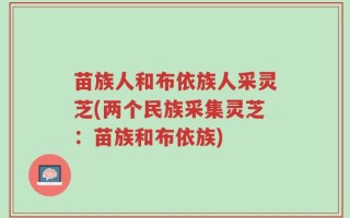 苗族人和布依族人采灵芝(两个民族采集灵芝：苗族和布依族)