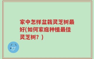 家中怎样盆栽灵芝树最好(如何家庭种植最佳灵芝树？)